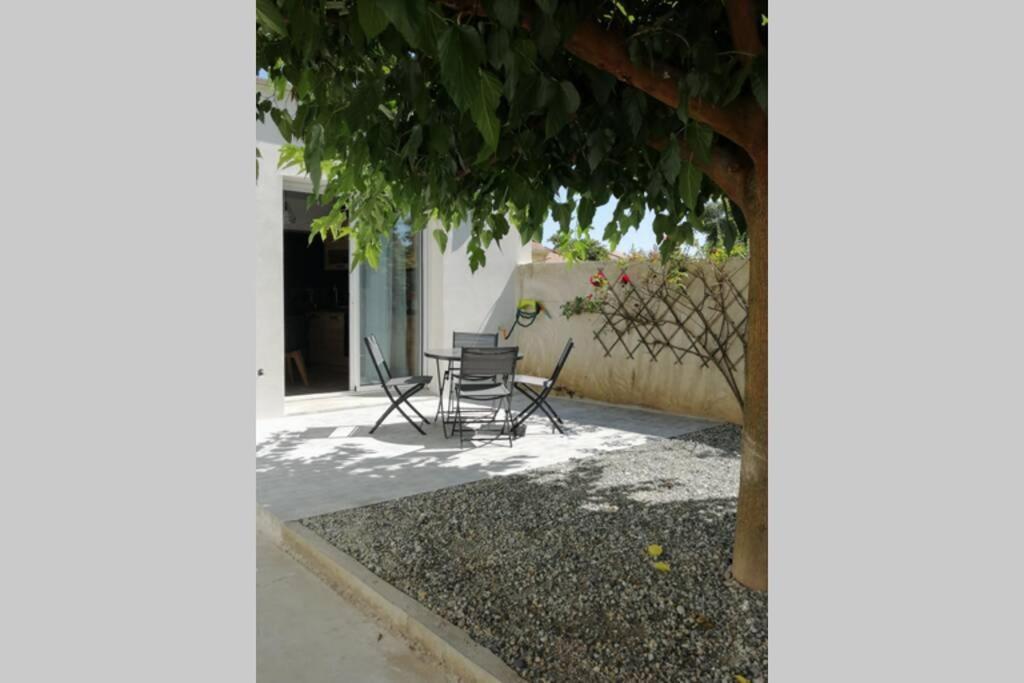 Charmant Appartement Avec Terrasse Pont-de-lʼIsère Екстериор снимка